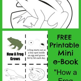 Free Frog Life Cycle Mini-Book