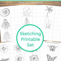 Free Sketching Printable Set