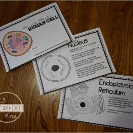 Free Human Cell Printable Pack