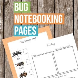 Free Bug Notebooking Pages