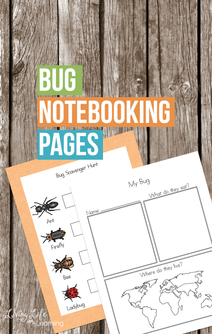 Free Bug Notebooking Pages