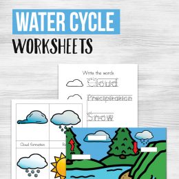 FREE Water Cycle Worksheets