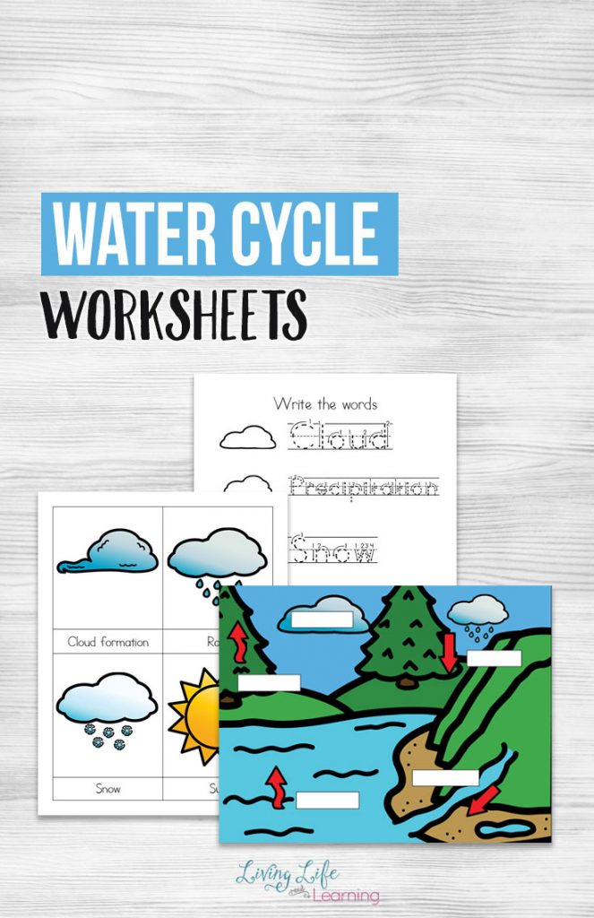 FREE Water Cycle Worksheets