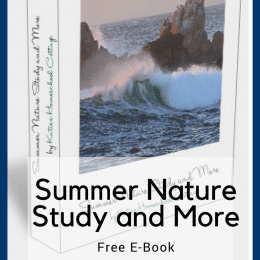 Free Summer Nature Study (85 Pages!)