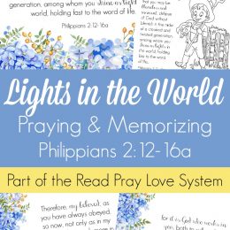 Free Lights in the World Bible Challenge