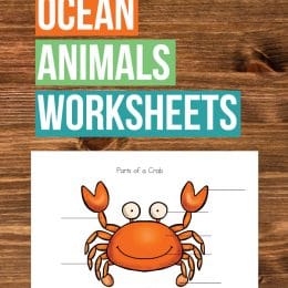 Free Ocean Animals Science Worksheets