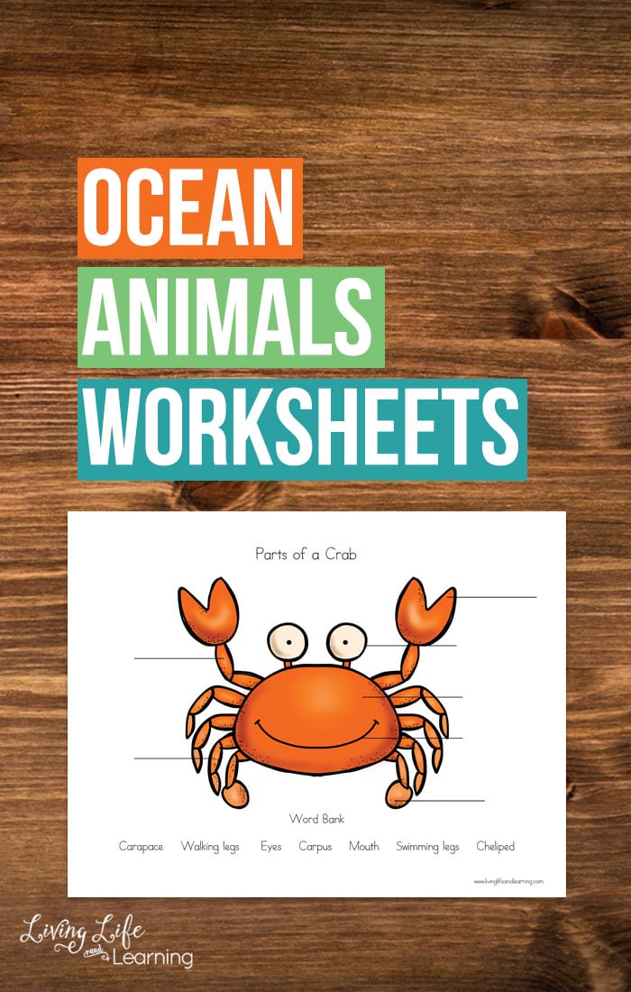 Free Ocean Animals Science Worksheets