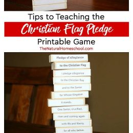 Free Christian Flag Pledge Game