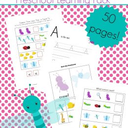 Free Bug Preschool Learning Pack