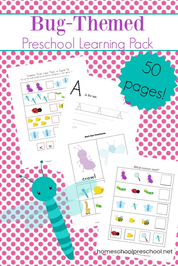 Free Bug Preschool Learning Pack