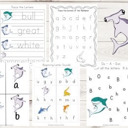 Free Shark-Themed Learning Pack