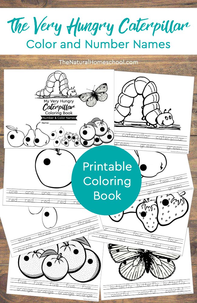 Free Very Hungry Caterpillar Numbers & Colors Coloring Book