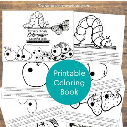 Free Very Hungry Caterpillar Numbers & Colors Coloring Book