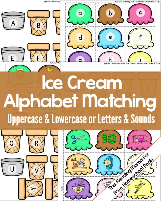 FREE ALPHABET MATCHING ACTIVITY Instant Download 