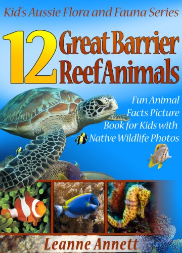 12 Great Barrier Reef Animals