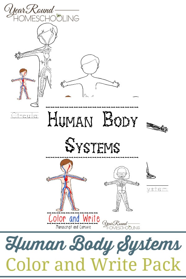 Free Human Body Systems Color & Write Pack