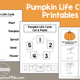 Free Pumpkin Life Cycle Printable Pack