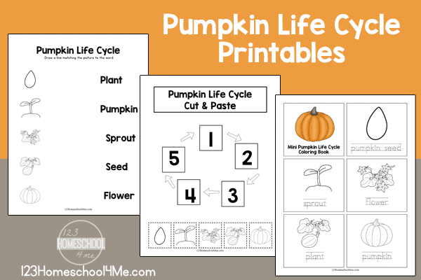 Free Pumpkin Life Cycle Printable Pack