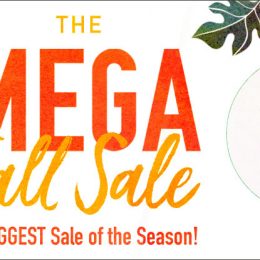 Amazing Deals and Discounts on Over 2,500 Books and Resources (Limited Time)