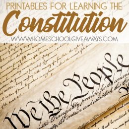 free printable constitution activities