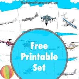 FREE air transportation cards