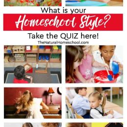 free homeschool styles quiz