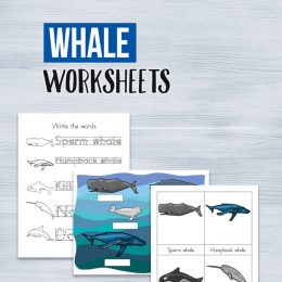 FREE Whale Writing and Vocabulary Worksheets and Printables