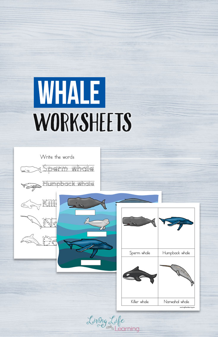 FREE Whale Writing and Vocabulary Worksheets and Printables