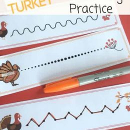 FREE Turkey Pre-Writing Practice Sheets