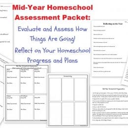 FREE Mid-Year Homeschool Assessment/Reflection Packet