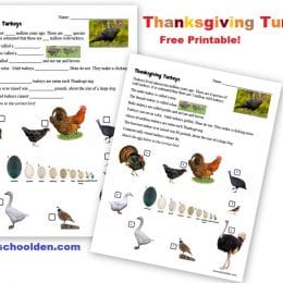 FREE Turkey Facts Printable Sheet