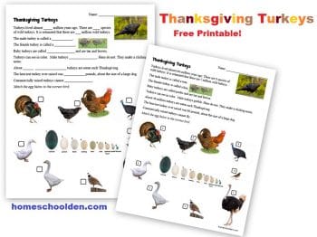 FREE Turkey Facts Printable Sheet