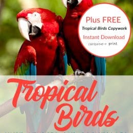 tropical birds unit studies and printables