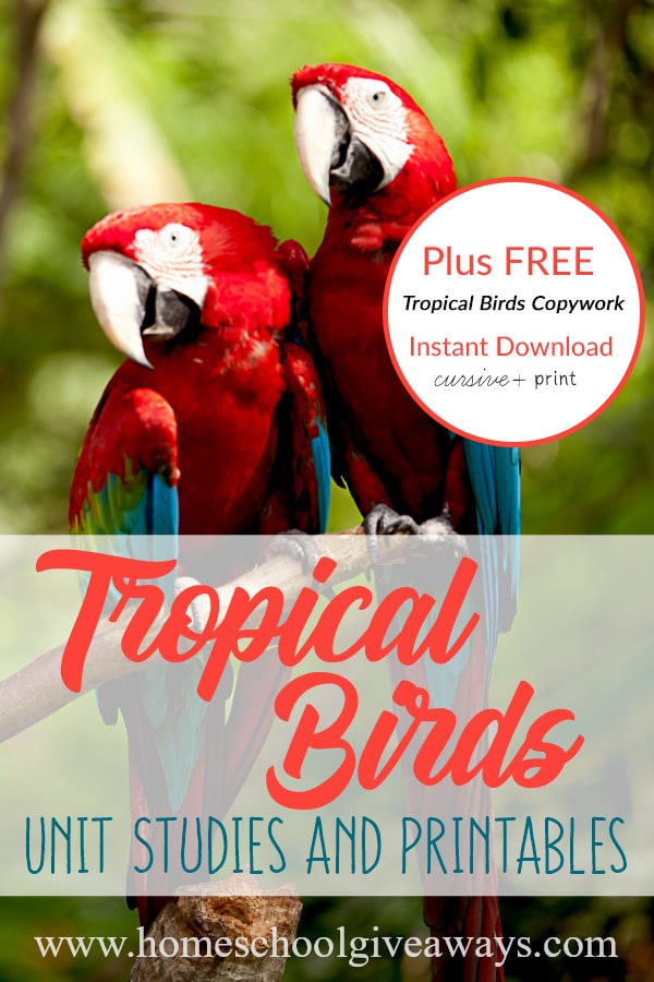 FREE Tropical Birds Unit Studies and Printables