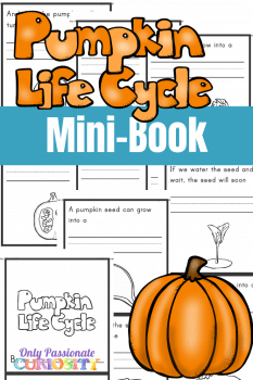 FREE Pumpkin Life Cycle Mini-Book