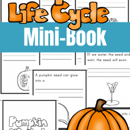 For your Fall science lessons, check out this FREE Pumpkin Life Cycle Mini-Book! #fhdhomeschoolers #freehomeschooldeals #fallresources #homeschoolscience #hsmoms