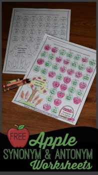 FREE Apple Synonym & Antonym Worksheet