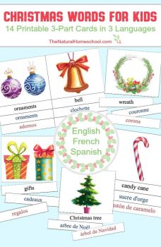 FREE Christmas Word Cards in 3 Languages!