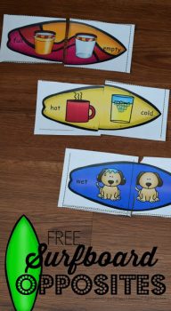 FREE Surfboard Opposite Puzzles