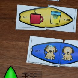 FREE Surfboard Opposite Puzzles