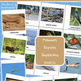 FREE Migrating Animals Printable Pictures