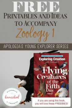 FREE Printables and Ideas for Apologia's Zoology 1: Flying Creatures