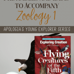 FREE Printables and Ideas for Apologia's Zoology 1: Flying Creatures