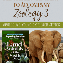 FREE Printables and Ideas for Apologia's Zoology 3: Land Animals