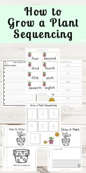 FREE How to Grow a Plant Sequencing Worksheets