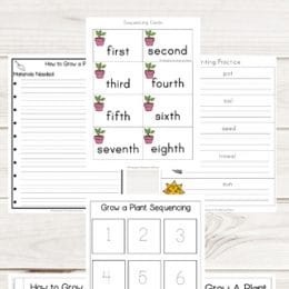 FREE How to Grow a Plant Sequencing Worksheets