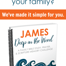 FREE 2019 Monthly Bible Study: James