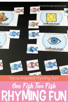 FREE One Fish Two Fish Rhyming Activity