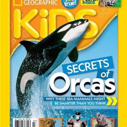 Amazon Deals: National Geographic Kids 1-Year Subscription (62% off!)