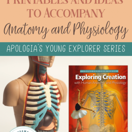 FREE Printables and Ideas for Apologia's Anatomy and Physiology